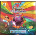 Colour Changing Flowerpots (Big Size)