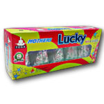 Flower Pots (Red & Green )